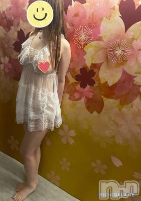 新潟デリヘル ENDLESS-安心の地元新潟の素人のみ-(エンドレス) セラ☆リピート率No.１(39)の2月29日写メブログ「美人系のセラちゃんです😳💕」