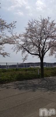 長岡デリヘル 人妻楼　長岡店(ヒトヅマロウ　ナガオカテン) つかさ(47)の4月14日写メブログ「帰り道(^_^)」