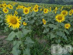 上越デリヘルらぶ妻　～新潟の人妻が集う店～(ラブツマ) 立花なお★小柄M女(49)の9月3日写メブログ「明日出勤です♪」