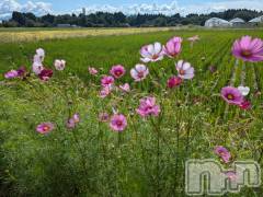 上越デリヘルらぶ妻　～新潟の人妻が集う店～(ラブツマ) 立花なお★小柄M女(49)の10月2日写メブログ「出勤途中🌸」