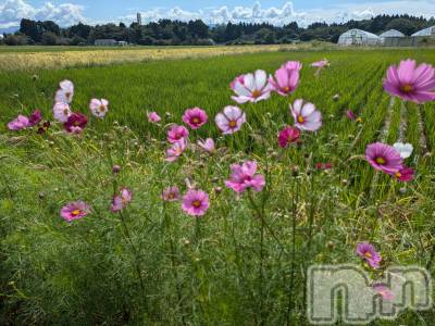 上越デリヘル らぶ妻　～新潟の人妻が集う店～(ラブツマ) 立花なお★小柄M女(49)の10月2日写メブログ「出勤途中🌸」