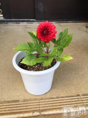 上越デリヘル らぶ妻　～新潟の人妻が集う店～(ラブツマ) 【お得妻】姫野あけみ★Mエロ(58)の7月2日写メブログ「うれしい」