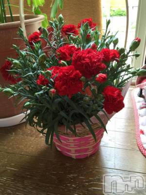 上越デリヘル らぶ妻　～新潟の人妻が集う店～(ラブツマ) 【お得妻】姫野あけみ★Mエロ(58)の5月14日写メブログ「なんの日？」