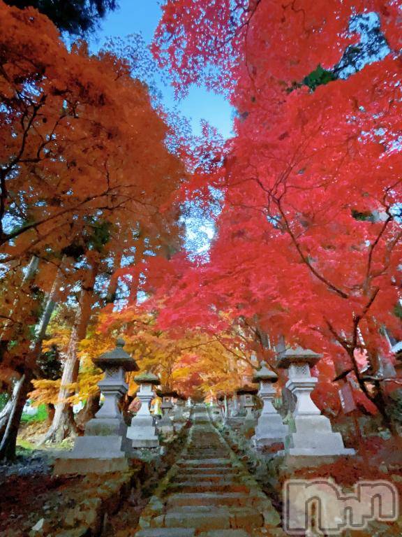 長野デリヘル恋のリフレイン(コイノリフレイン) はるか(39)の11月12日写メブログ「ここはどこでしょう？🍁🍂」