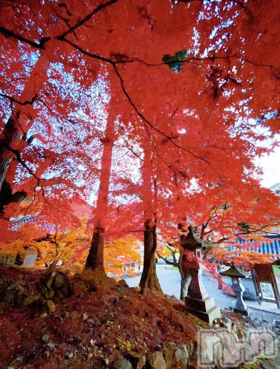 長野デリヘル恋のリフレイン(コイノリフレイン) はるか(39)の11月14日写メブログ「クイズの答えは...」