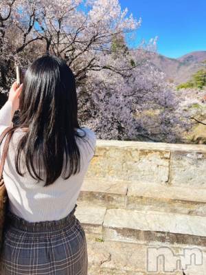 お花見&#x1F338;