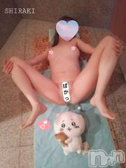 長岡デリヘルフェイム長岡店　地元の子と会える！地域密着専門店(フェイムナガオカテン) しらき◆濃厚痴女(36)の4月15日写メブログ「カラダが痺れるくらい気持ちいい❤️」