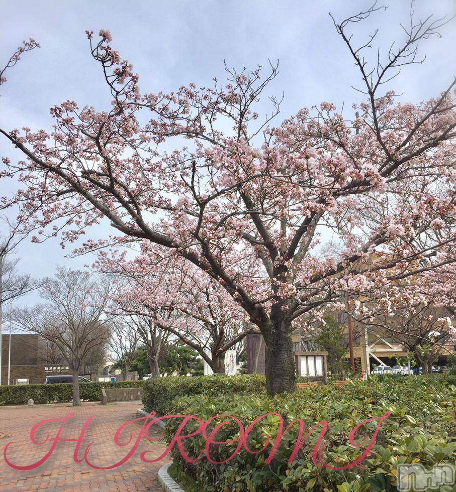 新潟デリヘルBIANCA～主人の知らない私～新潟店(ビアンカニイガタテン) 真田　ひろみ(36)の4月11日写メブログ「やっちゃった、、、」