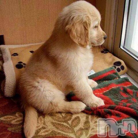 上越デリヘル上越風俗出張アロママッサージ(ジョウエツフウゾクシュッチョウアロママッサージ) ゆずき☆(37)の9月20日写メブログ「ありがとうございました！」