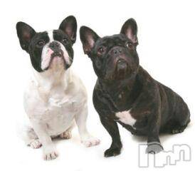 上越デリヘル上越風俗出張アロママッサージ(ジョウエツフウゾクシュッチョウアロママッサージ) ゆずき☆(37)の9月20日写メブログ「ありがとうございました！」