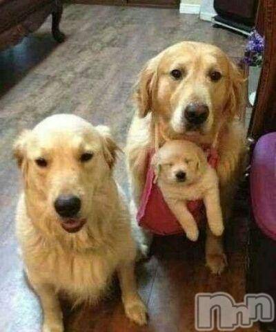 上越デリヘル上越風俗出張アロママッサージ(ジョウエツフウゾクシュッチョウアロママッサージ) ゆずき☆(37)の10月1日写メブログ「ありがとうございました！」