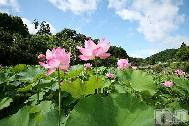 上越デリヘル上越風俗出張アロママッサージ(ジョウエツフウゾクシュッチョウアロママッサージ) ゆずき☆(37)の10月7日写メブログ「ありがとうございました！」