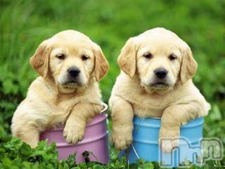 上越デリヘル上越風俗出張アロママッサージ(ジョウエツフウゾクシュッチョウアロママッサージ) ゆずき☆(37)の10月8日写メブログ「ありがとうございました！」