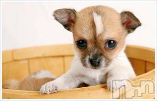 上越デリヘル上越風俗出張アロママッサージ(ジョウエツフウゾクシュッチョウアロママッサージ) ゆずき☆(37)の10月8日写メブログ「ありがとうございました！」