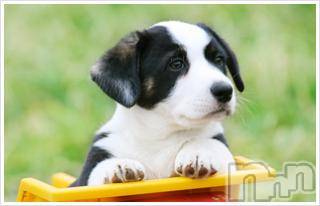 上越デリヘル上越風俗出張アロママッサージ(ジョウエツフウゾクシュッチョウアロママッサージ) ゆずき☆(37)の10月14日写メブログ「ありがとうございました！」