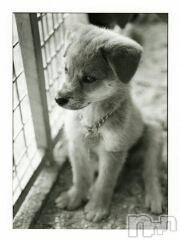 上越デリヘル上越風俗出張アロママッサージ(ジョウエツフウゾクシュッチョウアロママッサージ) ゆずき☆(37)の1月25日写メブログ「ありがとうございました」