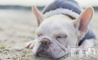 上越デリヘル上越風俗出張アロママッサージ(ジョウエツフウゾクシュッチョウアロママッサージ) ゆずき☆(37)の3月2日写メブログ「ありがとうございました」