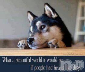 上越デリヘル上越風俗出張アロママッサージ(ジョウエツフウゾクシュッチョウアロママッサージ) ゆずき☆(37)の3月17日写メブログ「ありがとうございました」