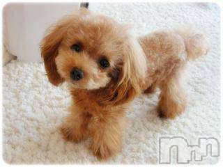 上越デリヘル上越風俗出張アロママッサージ(ジョウエツフウゾクシュッチョウアロママッサージ) ゆずき☆(37)の4月20日写メブログ「ありがとうございました」