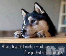 上越デリヘル上越風俗出張アロママッサージ(ジョウエツフウゾクシュッチョウアロママッサージ) ゆずき☆(37)の5月2日写メブログ「ありがとうございました」