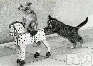 上越デリヘル上越風俗出張アロママッサージ(ジョウエツフウゾクシュッチョウアロママッサージ) ゆずき☆(37)の5月2日写メブログ「ありがとうございました」