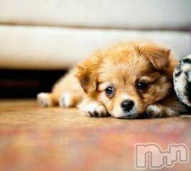 上越デリヘル上越風俗出張アロママッサージ(ジョウエツフウゾクシュッチョウアロママッサージ) ゆずき☆(37)の5月2日写メブログ「ありがとうございました」