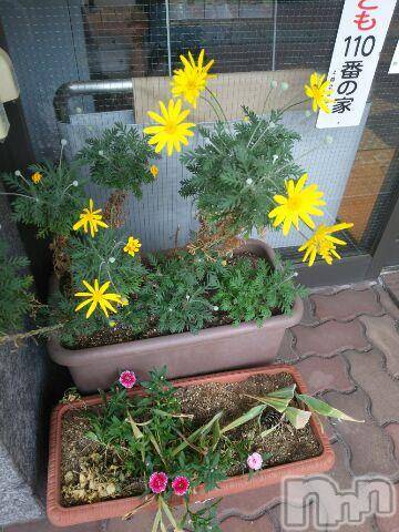 上越デリヘル上越風俗出張アロママッサージ(ジョウエツフウゾクシュッチョウアロママッサージ) ゆずき☆(37)の5月10日写メブログ「おはようございます☆」