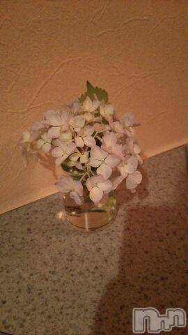 上越デリヘル上越風俗出張アロママッサージ(ジョウエツフウゾクシュッチョウアロママッサージ) ゆずき☆(37)の7月1日写メブログ「ありがとうございました」