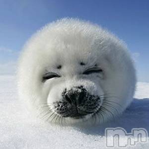 上越デリヘル上越風俗出張アロママッサージ(ジョウエツフウゾクシュッチョウアロママッサージ) ゆずき☆(37)の11月30日写メブログ「ありがとうございました♡」