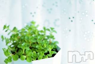 上越デリヘル上越風俗出張アロママッサージ(ジョウエツフウゾクシュッチョウアロママッサージ) ゆずき☆(37)の5月25日写メブログ「ありがとうございました♡」