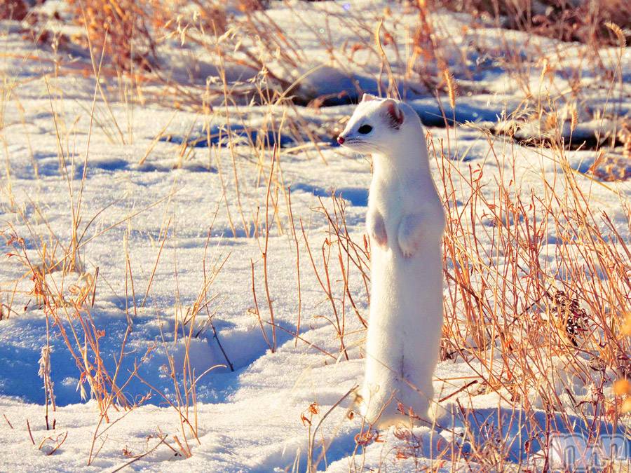 上越デリヘル上越風俗出張アロママッサージ(ジョウエツフウゾクシュッチョウアロママッサージ) ゆずき☆(37)の9月26日写メブログ「ありがとうございました♡」