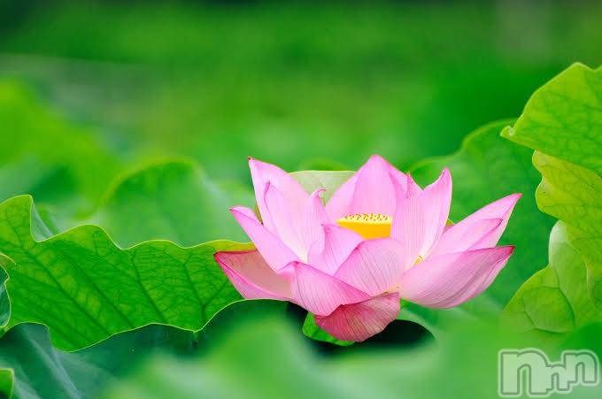 上越デリヘル上越風俗出張アロママッサージ(ジョウエツフウゾクシュッチョウアロママッサージ) ゆずき☆(37)の9月29日写メブログ「ありがとうございました♡」