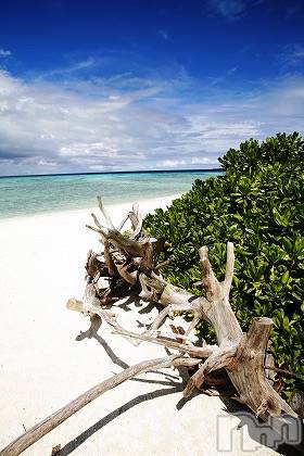 上越デリヘル上越風俗出張アロママッサージ(ジョウエツフウゾクシュッチョウアロママッサージ) ゆずき☆(37)の5月21日写メブログ「ありがとうございました♡」