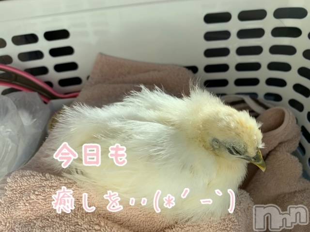 上越風俗エステ上越風俗出張アロママッサージ(ジョウエツフウゾクシュッチョウアロママッサージ) ゆずき☆(37)の12月2日写メブログ「本日も♡」