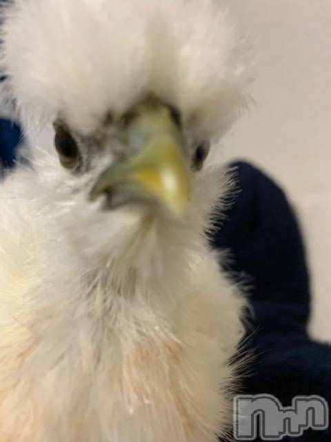 上越デリヘル上越風俗出張アロママッサージ(ジョウエツフウゾクシュッチョウアロママッサージ) ゆずき☆(37)の1月5日写メブログ「本日も♡」