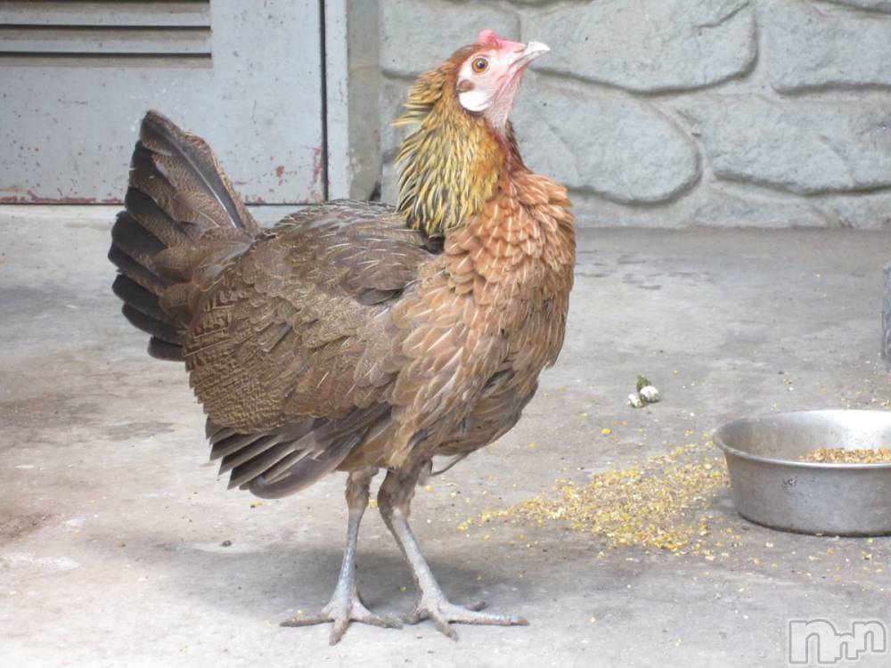 上越デリヘル上越風俗出張アロママッサージ(ジョウエツフウゾクシュッチョウアロママッサージ) ゆずき☆(37)の1月9日写メブログ「ありがとうございました♡」