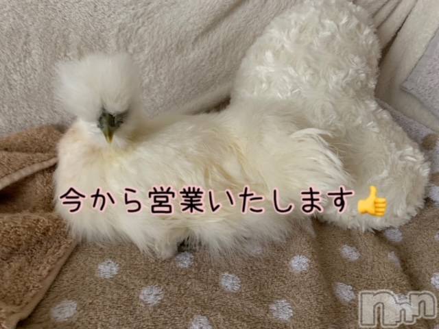 上越デリヘル上越風俗出張アロママッサージ(ジョウエツフウゾクシュッチョウアロママッサージ) ゆずき☆(37)の1月12日写メブログ「今から営業いたします♡」