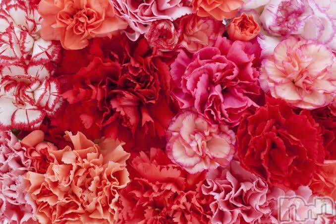 上越デリヘル上越風俗出張アロママッサージ(ジョウエツフウゾクシュッチョウアロママッサージ) ゆずき☆(37)の3月18日写メブログ「ありがとうございました♡」