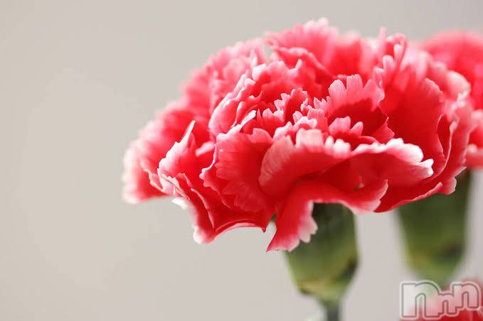 上越デリヘル上越風俗出張アロママッサージ(ジョウエツフウゾクシュッチョウアロママッサージ) ゆずき☆(37)の3月19日写メブログ「ありがとうございました♡」