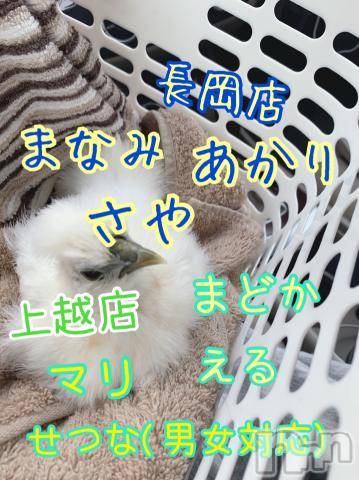 上越デリヘル上越風俗出張アロママッサージ(ジョウエツフウゾクシュッチョウアロママッサージ) ゆずき☆(37)の4月5日写メブログ「本日の出勤キャスト一覧?(???*)?」