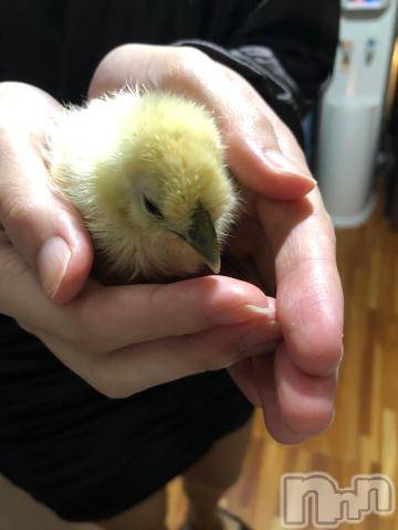 上越デリヘル上越風俗出張アロママッサージ(ジョウエツフウゾクシュッチョウアロママッサージ) ゆずき☆(37)の10月11日写メブログ「ありがとうございました^_^」