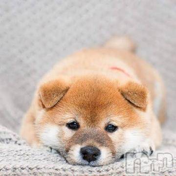 上越デリヘル上越風俗出張アロママッサージ(ジョウエツフウゾクシュッチョウアロママッサージ) ゆずき☆(37)の2月22日写メブログ「ありがとうございました^ - ^」