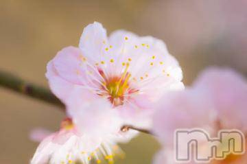 上越デリヘル上越風俗出張アロママッサージ(ジョウエツフウゾクシュッチョウアロママッサージ) ゆずき☆(37)の3月21日写メブログ「ありがとうございました^_^」