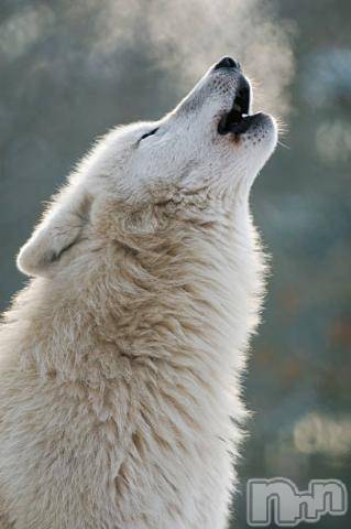 上越デリヘル上越風俗出張アロママッサージ(ジョウエツフウゾクシュッチョウアロママッサージ) ゆずき☆(37)の10月17日写メブログ「ありがとうございました^ - ^」