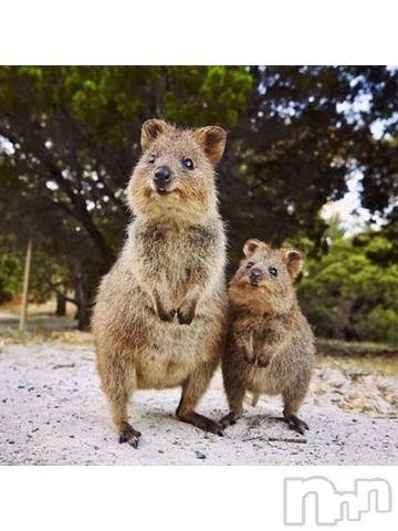 上越デリヘル上越風俗出張アロママッサージ(ジョウエツフウゾクシュッチョウアロママッサージ) ゆずき☆(37)の10月22日写メブログ「ありがとうございました^ - ^」