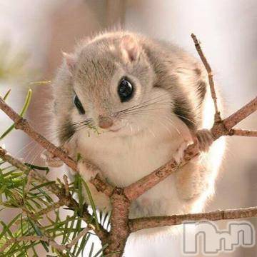 上越デリヘル上越風俗出張アロママッサージ(ジョウエツフウゾクシュッチョウアロママッサージ) ゆずき☆(37)の11月19日写メブログ「ありがとうございました^ - ^」