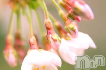 上越デリヘル上越風俗出張アロママッサージ(ジョウエツフウゾクシュッチョウアロママッサージ) ゆずき☆(37)の4月9日写メブログ「ありがとうございました^ - ^」