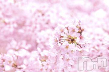 上越デリヘル上越風俗出張アロママッサージ(ジョウエツフウゾクシュッチョウアロママッサージ) ゆずき☆(37)の4月10日写メブログ「ありがとうございました^ - ^」