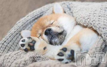 上越デリヘル上越風俗出張アロママッサージ(ジョウエツフウゾクシュッチョウアロママッサージ) ゆずき☆(37)の4月22日写メブログ「ありがとうございました^ ^」