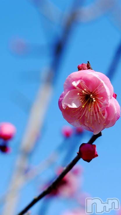 上越デリヘル上越風俗出張アロママッサージ(ジョウエツフウゾクシュッチョウアロママッサージ) ゆずき☆(37)の4月19日写メブログ「出勤です^ ^」